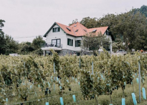 Éliás Borbirtok, Badacsonytomaj